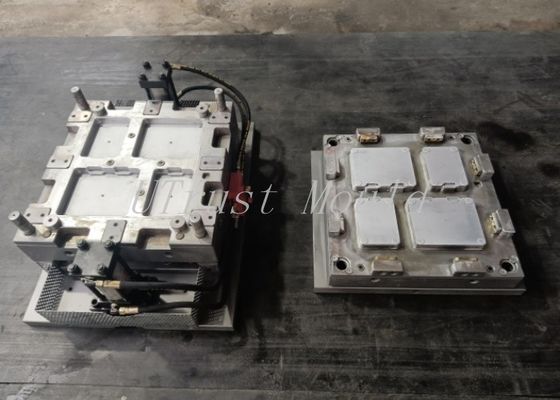 Automobiele dekkingsplaat SMC-vorm Auto-interieurproducten Compressievorm